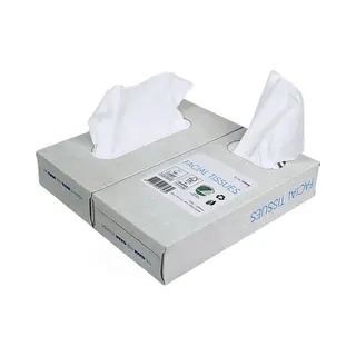 Kurtt - 500x Zakdoekjes (2-laags Tissue), Voordeelverpakking, (5 X 100) Papieren Zakdoekjes, 20x20 Cm, Fsc En Ecolabel - Reinigingsdoekjes Cellulose