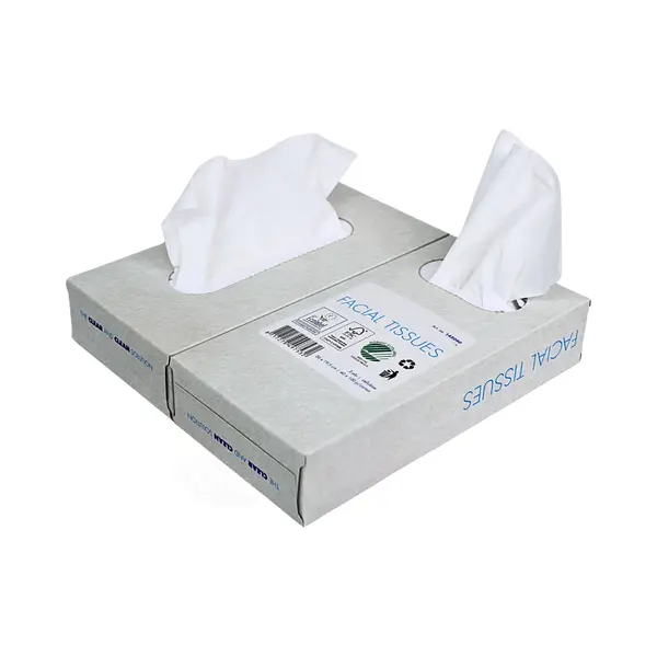 Kurtt - 500x Zakdoekjes (2-laags Tissue), Voordeelverpakking, (5 X 100) Papieren Zakdoekjes, 20x20 Cm, Fsc En Ecolabel - Reinigingsdoekjes Cellulose thumbnail