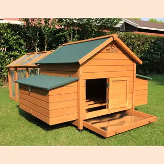 Pets Imperial - Kippenren - 1, 4 Meter - Voor Kippenhok - Kippenloop - Geschikt Voor Kippenhok Met Ren - Pluimveehok - Met Sterk Gaasnet - Perfecte