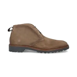 Berkelmans Tanaka Taupe