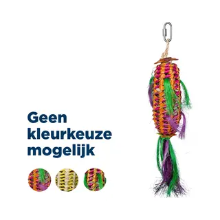 Back Zoo Nature Melon Pinata Small