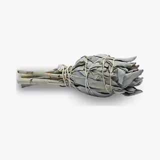 Vardaan Witte Salie Smudge Fakkel - Voor Energetische Reiniging - White Sage - 1 Stuk - 10 Cm - 20 Gram