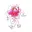 Multicolor, Roze, Wit