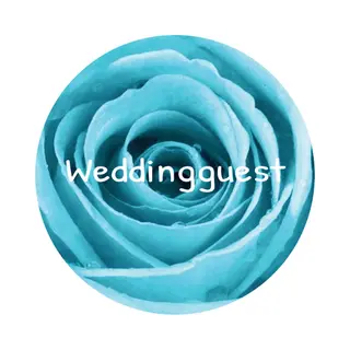 6 Buttons Weddingguest Turquoise Rose - Roos - Turquoise - Button - Corsage - Trouwen - Huwelijk