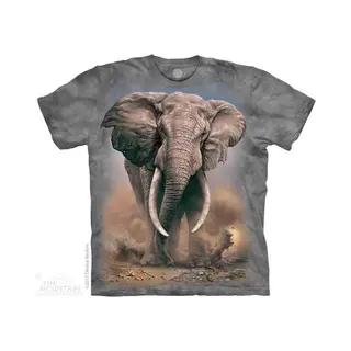 The Mountain Afrikanischer Elefant Für Herren - Grau - 3X-Groß