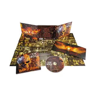 ImportCDs Burn It Down Cd Poprock