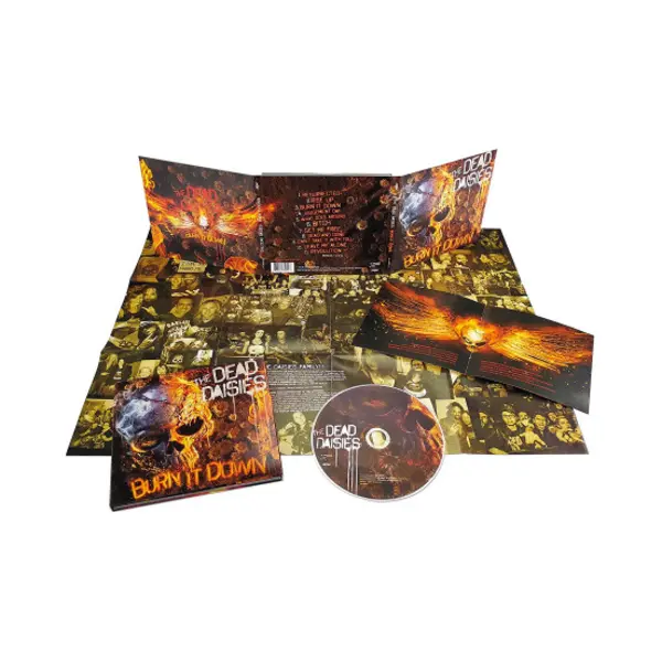 ImportCDs Burn It Down Cd Poprock thumbnail