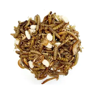 Insectenmix - Kippensnack 5 Liter