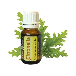 Essentiële Olie Aromatherapie - Biologisch - Citronella - Flesje 10ml - Pure Naturals