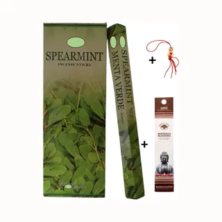 2 Kokers - Wierook - Wierookstokjes - Wierooksticks - Incense Sticks - Spearmint - Aarmunt - 40 Stokjes + 5 Mini Wierookstokjes + Gelukspoppetje