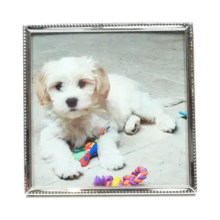 Lescadres Al - Fotolijst - Zilver - Parel - 10 X 10 Cm