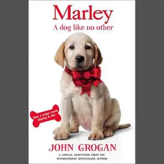 John Grogan Marley A Dog Like No Other
