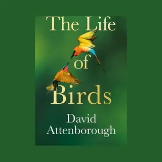 HarperCollins Publishers The Life Of Birds