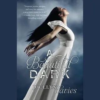 Jocelyn Davies Beautiful Dark