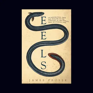 Eels
