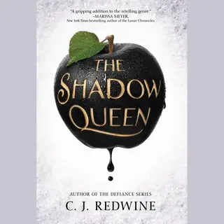 Ravenspire 1 - The Shadow Queen