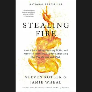 Isbn Stealing Fire boek Hardcover 304 pagina's