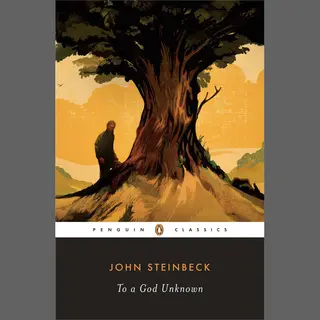 Isbn To a God Unknown boek Klassiekers Engels Paperback 240 pagina's