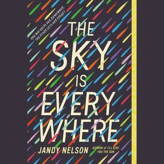 Isbn The Sky Is Everywhere boek Paperback 320 pagina's