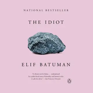 Isbn The Idiot boek Fictie Engels Paperback 432 pagina's