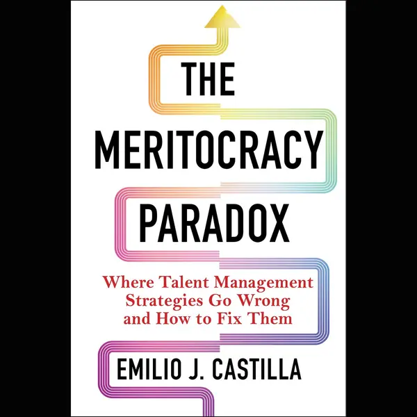 The Meritocracy Paradox thumbnail