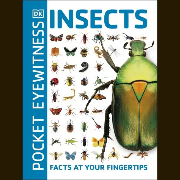 Isbn Pocket Eyewitness Insects book Children & teenagers English Paperback 160 pages thumbnail