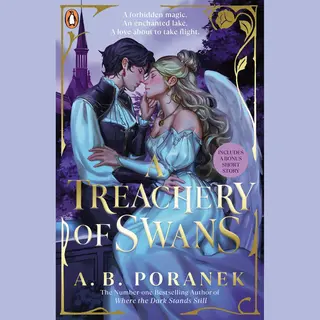 A Treachery Of Swans