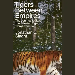 Tigers Between Empires