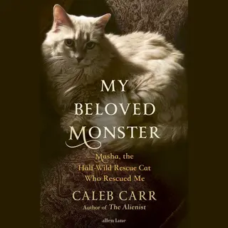 Penguin Books Ltd My Beloved Monster