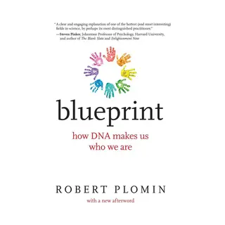 Blueprint