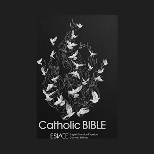 Esv-Ce Catholic Bible. The Official Liturgical Bible For England, Wales And Scotland From Advent 24 thumbnail