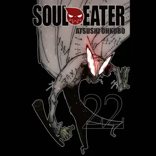 Little, Brown & Company Soul Eater, Vol. 22