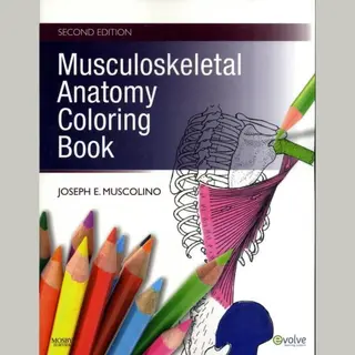 Joseph Muscolino Musculoskeletal Anatomy Coloring Book