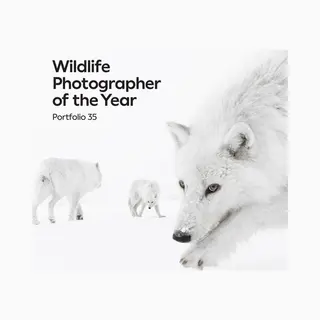 The Natural History Museum Wildlife Photographer Of The Year, Portfolio 35