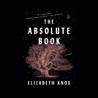 The Absolute Book