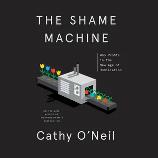 Cathy O'Neil Shame Machine