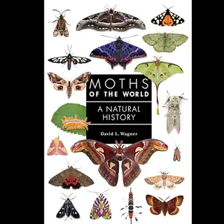 Princeton University Press Moths Of The World , A Natural History