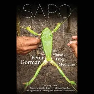 Sapo In My Soul