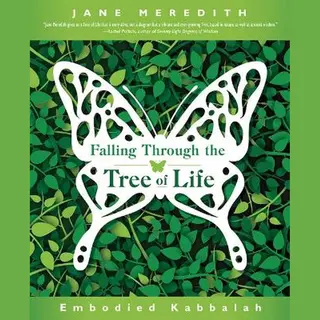 Falling Through The Tree Of Life, Embodied Kabbalah