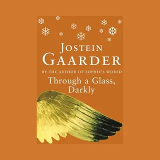 Phoenix Through A Glass, Darkly book Paperback