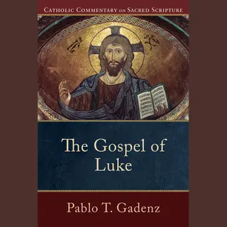 Isbn The Gospel of Luke boek Engels Paperback 416 pagina's