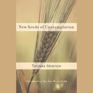 New Seeds Contemplation