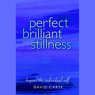 David Carse Perfect Brilliant Stillness