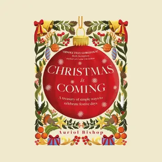 Christmas Is Coming