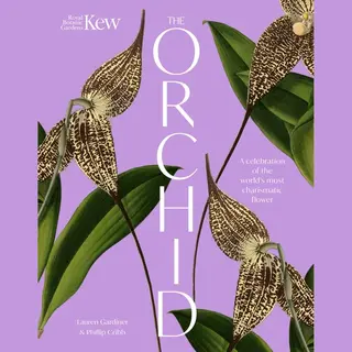 The Orchid, A Celebration Of The World's Most Charismatic Flower