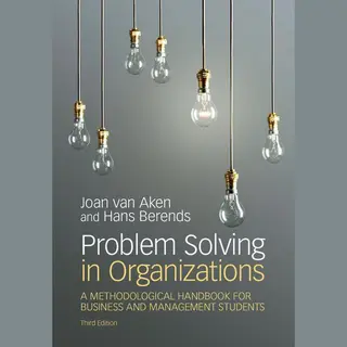 Problem Solving In Organizations