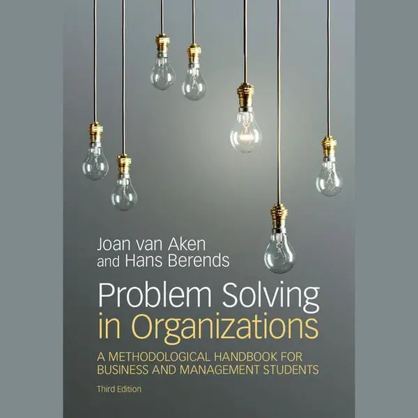 Problem Solving In Organizations thumbnail