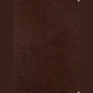 Esv Single Column Journaling Bible, Large Print