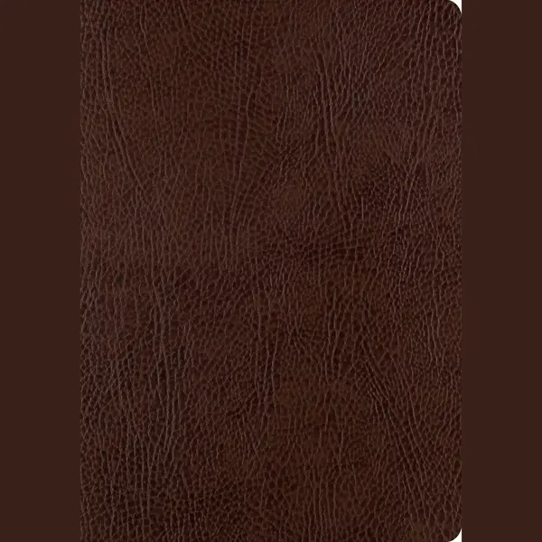 Esv Single Column Journaling Bible, Large Print thumbnail