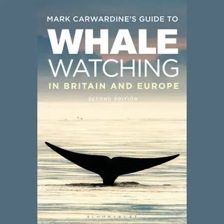 Isbn Mark Carwardine's Guide To Whale Watching In Britain And Europe boek Engels Paperback 272 pagina's